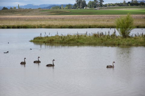 Beardy Waters Dam And Woodlands - Queensland Tourism 0