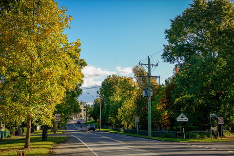 Berry Cycling Routes - QLD Tourism 0