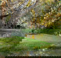 Gateway Island Parklands - QLD Tourism