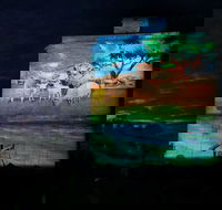 Quorn Silo Light Show - Queensland Tourism