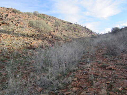 Sundown Nature Trail - QLD Tourism 2
