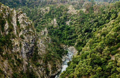 Tiara Walking Track - QLD Tourism 0