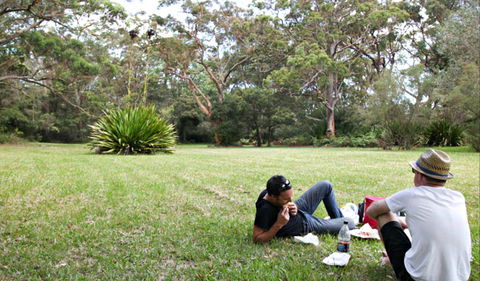 Waterfall Flat Picnic Area - QLD Tourism 0