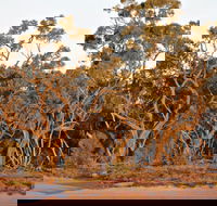 Yawura Yarun - QLD Tourism