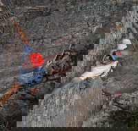 Small-Group Weekend Rock Climbing Adventure from Katoomba - Queensland Tourism