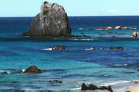 Narooma And Tilba Valley Private Tour - QLD Tourism 9