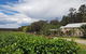 Tintilla Estate: Wine Tasting With A Meat And Cheese Platter - thumb 5