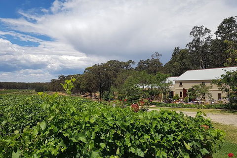 Tintilla Estate: Wine Tasting With A Meat And Cheese Platter - Queensland Tourism 5