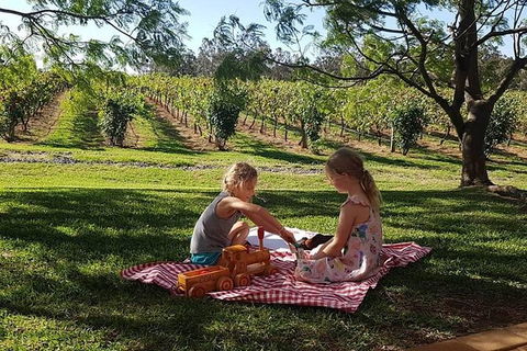 Tintilla Estate: Wine Tasting With A Meat And Cheese Platter - Queensland Tourism 2