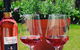 Tintilla Estate: Wine Tasting With A Meat And Cheese Platter - thumb 6