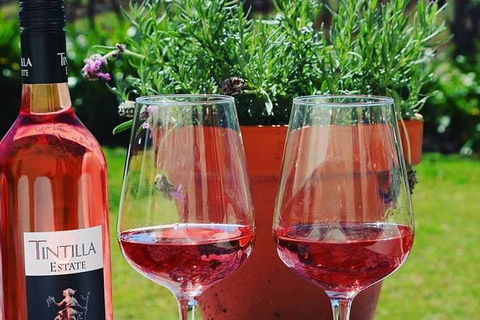 Tintilla Estate: Wine Tasting With A Meat And Cheese Platter - Queensland Tourism 6