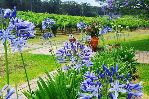 Tintilla Estate: Wine Tasting With A Meat And Cheese Platter - Queensland Tourism 4