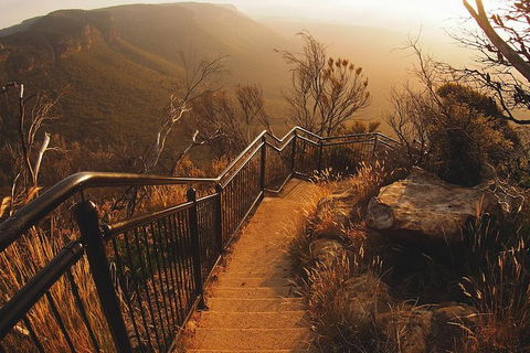 Blue Mountains Vintage Cadillac Tour With Local Guide - Queensland Tourism 5