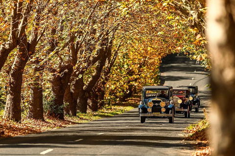 Blue Mountains Vintage Cadillac Tour With Local Guide - Queensland Tourism 8