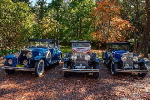 Blue Mountains Vintage Cadillac Tour With Local Guide - Queensland Tourism 2