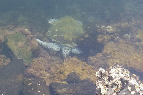 Sawtell To Coffs Harbour Bike Ride - QLD Tourism 4