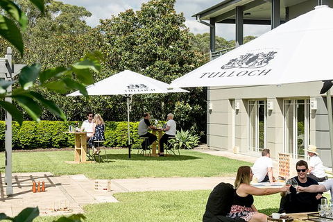 Tulloch Wines- Mystery Wine Tasting Experience With Local Cheese And Charcuterie - Queensland Tourism 5