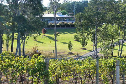 Tulloch Wines- Mystery Wine Tasting Experience With Local Cheese And Charcuterie - Queensland Tourism 9