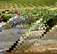 VIP Soil-To-Cellar Experience - Queensland Tourism