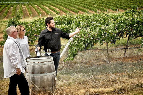 VIP Soil-To-Cellar Experience - Queensland Tourism 0
