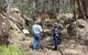 Newnes Ruins Walking Tour - thumb 0