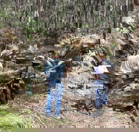 Newnes Ruins Walking Tour - Queensland Tourism