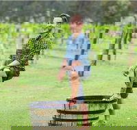 Hunter Valley Grape Stomping - Queensland Tourism