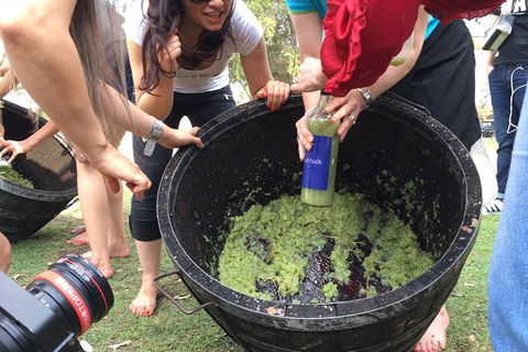 Hunter Valley Grape Stomping - Queensland Tourism 3