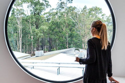 The Brokenwood Journey - Queensland Tourism 4