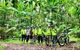 Guided E Bike Tour - Hells Hole Pools & Rainforest - thumb 0