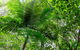 Guided E Bike Tour - Hells Hole Pools & Rainforest - thumb 5