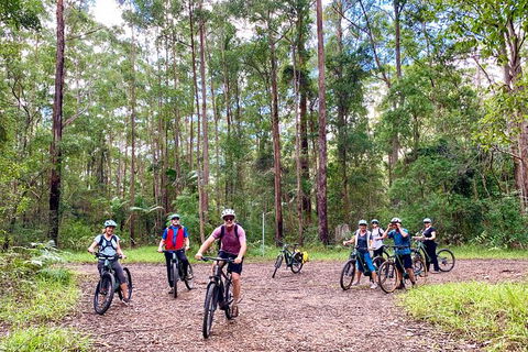 Guided E Bike Tour - Hells Hole Pools & Rainforest - QLD Tourism 2