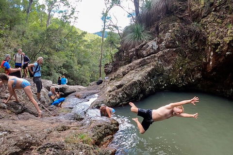 Guided E Bike Tour - Hells Hole Pools & Rainforest - QLD Tourism 7