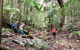 Guided E Bike Tour - Hells Hole Pools & Rainforest - thumb 11