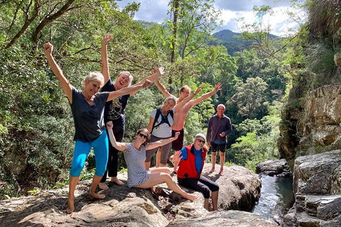 Guided E Bike Tour - Hells Hole Pools & Rainforest - QLD Tourism 6