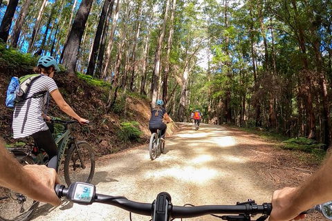 Guided E Bike Tour - Hells Hole Pools & Rainforest - QLD Tourism 3