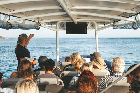 Sunset River Cruise Near Byron Bay - Queensland Tourism 29
