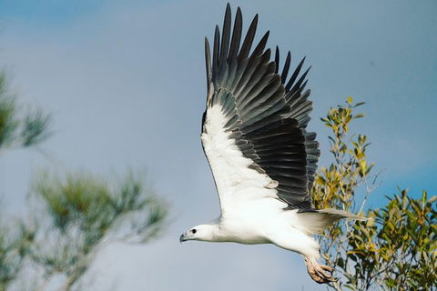 Sunset River Cruise Near Byron Bay - Queensland Tourism 30