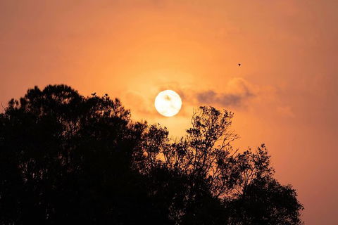 Sunset River Cruise Near Byron Bay - Queensland Tourism 14