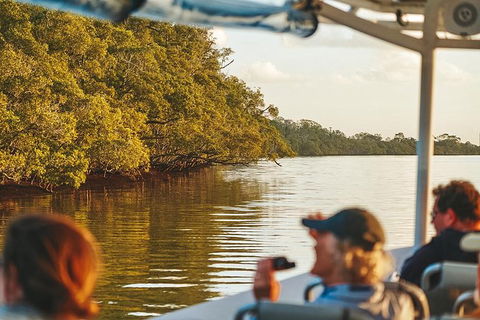 Sunset River Cruise Near Byron Bay - Queensland Tourism 26