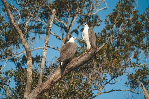 Sunset River Cruise Near Byron Bay - Queensland Tourism 9