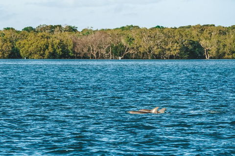 Sunset River Cruise Near Byron Bay - Queensland Tourism 2
