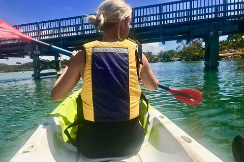 2-Hour Rental Kayak Double In Brunswick River - Queensland Tourism 3