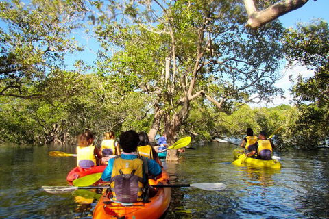 2-Hour Rental Kayak Double In Brunswick River - Queensland Tourism 2