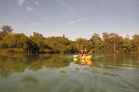 2-Hour Rental Kayak Double In Brunswick River - Queensland Tourism 5