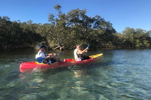 2-Hour Rental Kayak Double In Brunswick River - Queensland Tourism 4