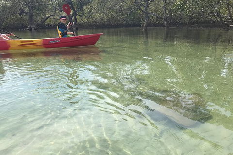 2-Hour Rental Kayak Double In Brunswick River - Queensland Tourism 6