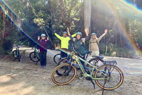 Guided E Bike Tour - Unicorn Falls & National Park - Queensland Tourism 3