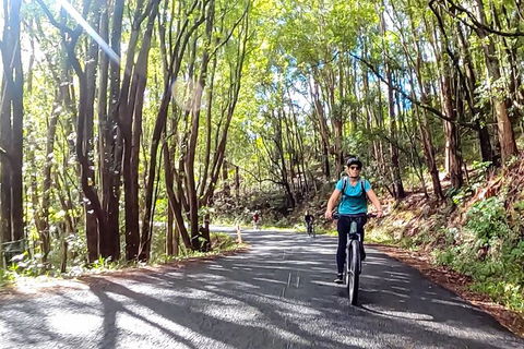 Guided E Bike Tour - Unicorn Falls & National Park - Queensland Tourism 16