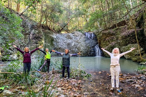 Guided E Bike Tour - Unicorn Falls & National Park - Queensland Tourism 8